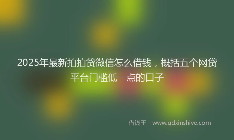 2025年最新拍拍贷微信怎么借钱，概括五个网贷平台门槛低一点的口子