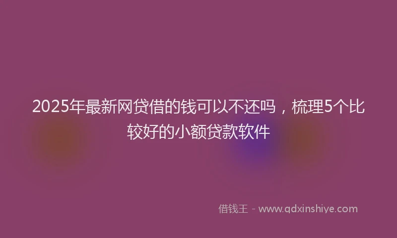2025年最新网贷借的钱可以不还吗，梳理5个比较好的小额贷款软件