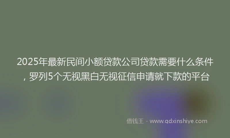 2025年最新民间小额贷款公司贷款需要什么条件，罗列5个无视黑白无视征信申请就下款的平台