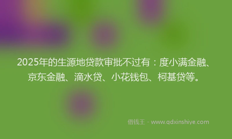 2025年的生源地贷款审批不过有：度小满金融、京东金融、滴水贷、小花钱包、柯基贷等。