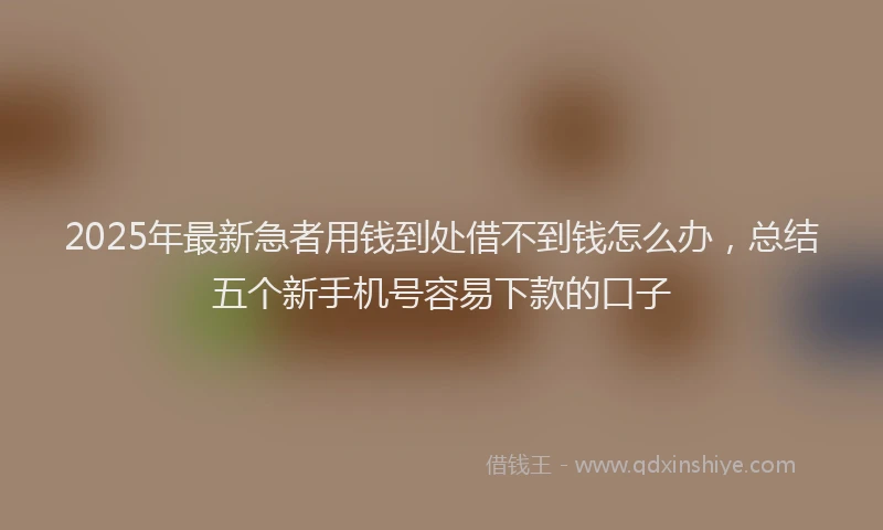 2025年最新急者用钱到处借不到钱怎么办，总结五个新手机号容易下款的口子