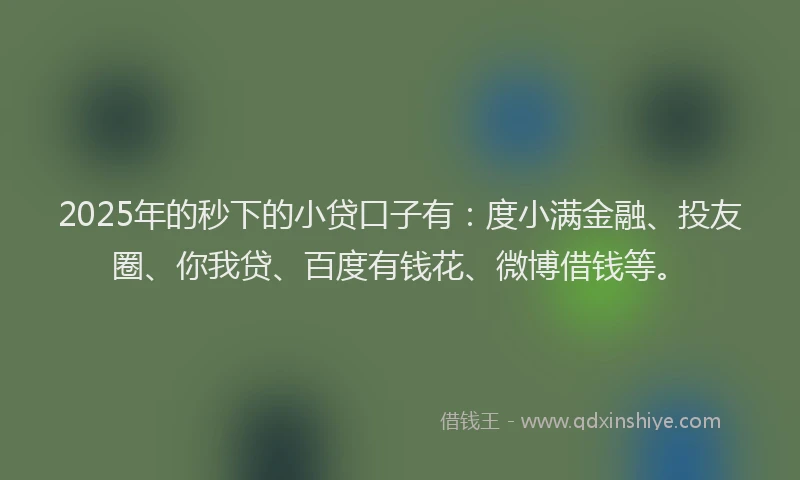 2025年的秒下的小贷口子有：度小满金融、投友圈、你我贷、百度有钱花、微博借钱等。