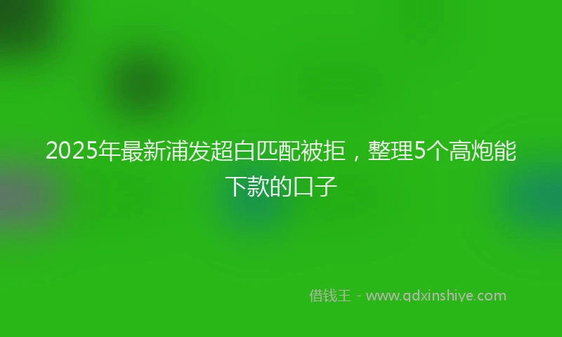 2025年最新浦发超白匹配被拒，整理5个高炮能下款的口子