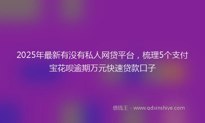 2025年最新有没有私人网贷平台，梳理5个支付宝花呗逾期万元快速贷款口子