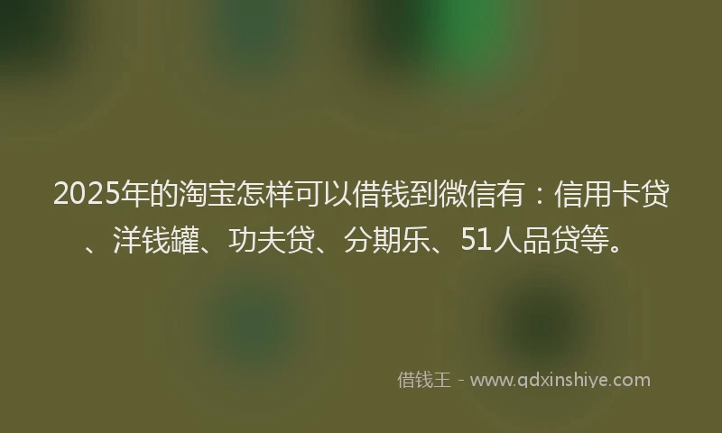 2025年的淘宝怎样可以借钱到微信有：信用卡贷、洋钱罐、功夫贷、分期乐、51人品贷等。