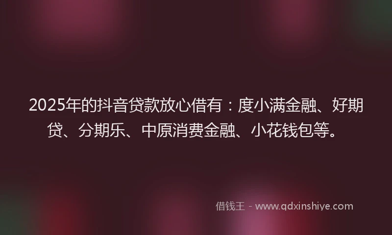 2025年的抖音贷款放心借有：度小满金融、好期贷、分期乐、中原消费金融、小花钱包等。