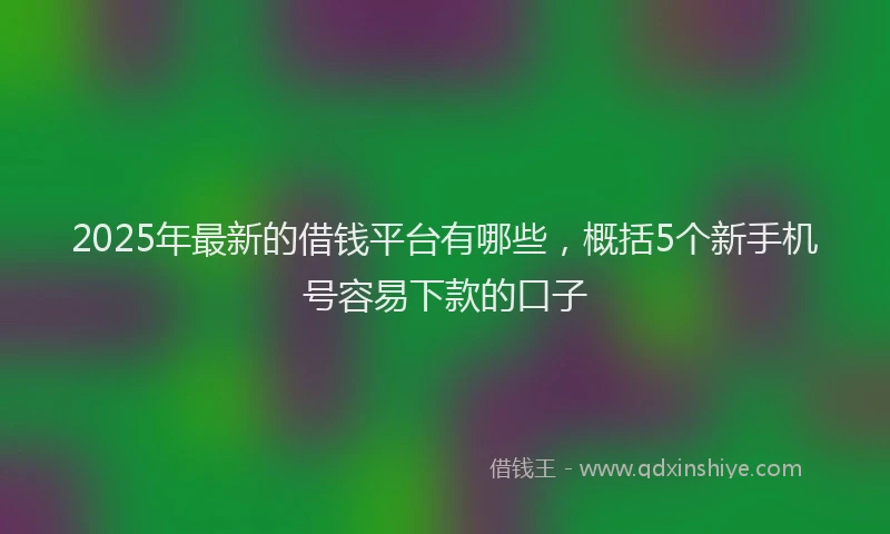 2025年最新的借钱平台有哪些，概括5个新手机号容易下款的口子