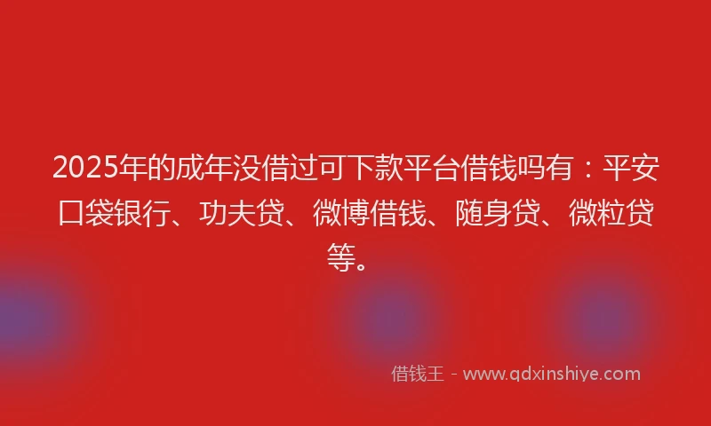 2025年的成年没借过可下款平台借钱吗有：平安口袋银行、功夫贷、微博借钱、随身贷、微粒贷等。
