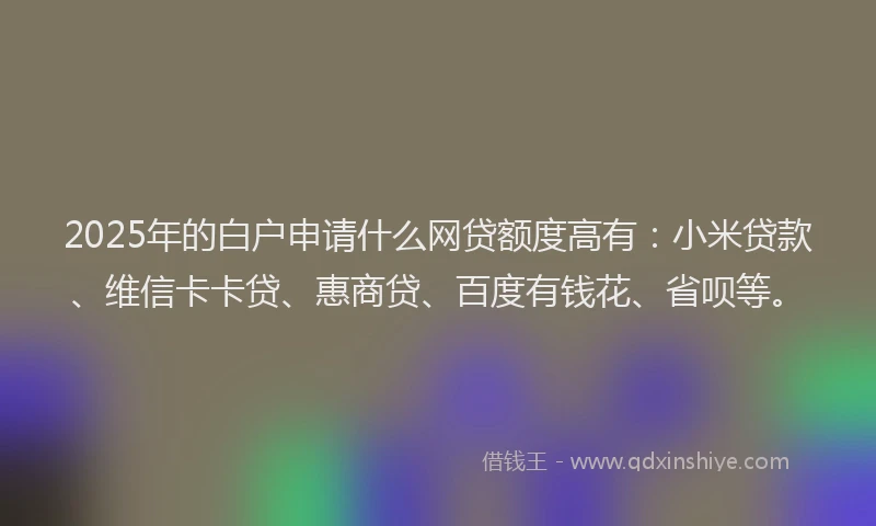 2025年的白户申请什么网贷额度高有：小米贷款、维信卡卡贷、惠商贷、百度有钱花、省呗等。