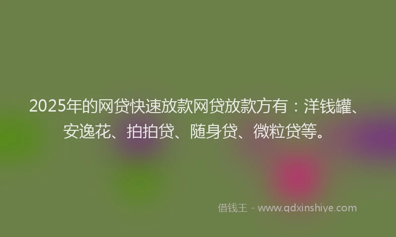 2025年的网贷快速放款网贷放款方有：洋钱罐、安逸花、拍拍贷、随身贷、微粒贷等。