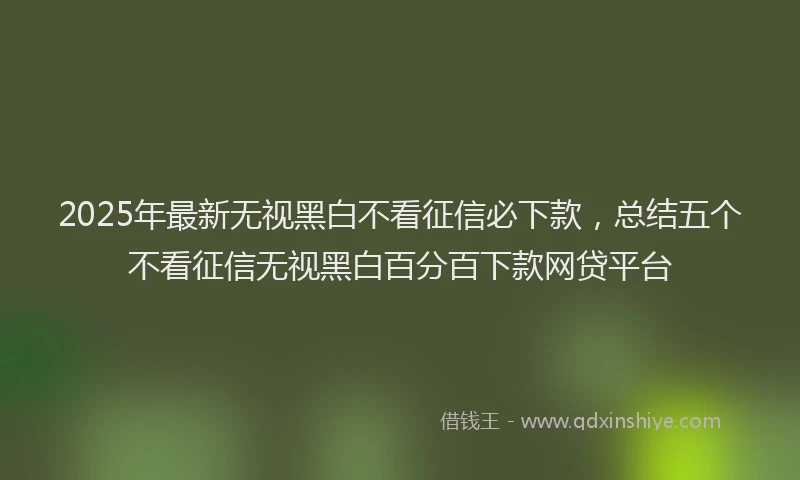 2025年最新无视黑白不看征信必下款，总结五个不看征信无视黑白百分百下款网贷平台