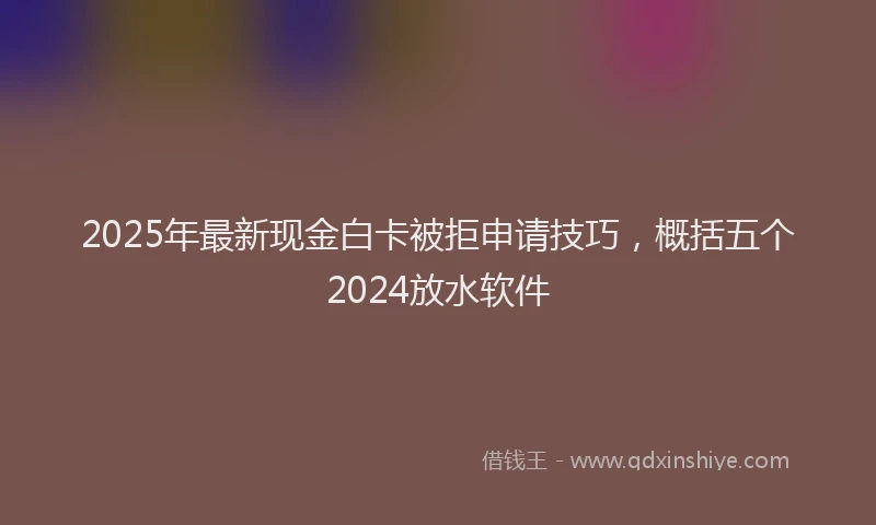2025年最新现金白卡被拒申请技巧，概括五个2024放水软件