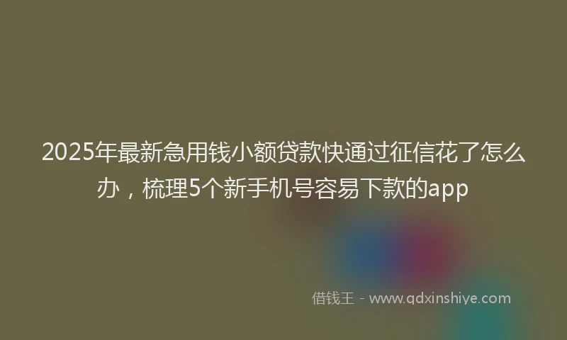 2025年最新急用钱小额贷款快通过征信花了怎么办，梳理5个新手机号容易下款的app