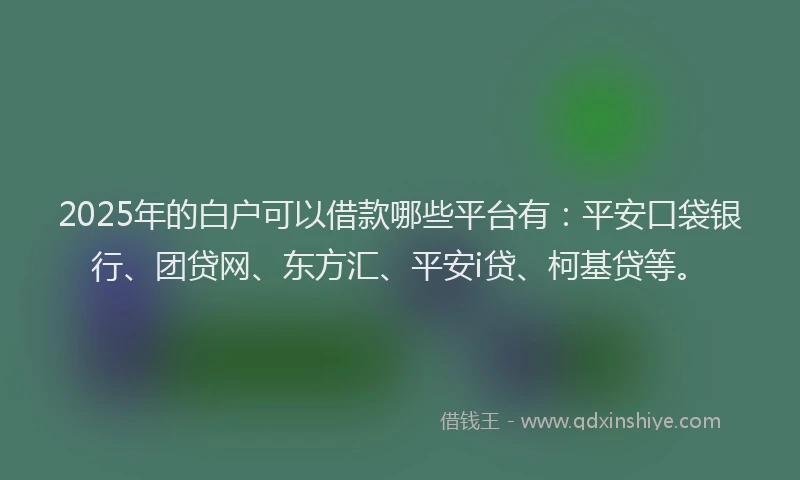 2025年的白户可以借款哪些平台有：平安口袋银行、团贷网、东方汇、平安i贷、柯基贷等。