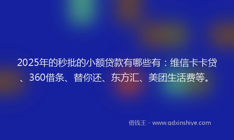 2025年的秒批的小额贷款有哪些有：维信卡卡贷、360借条、替你还、东方汇、美团生活费等。