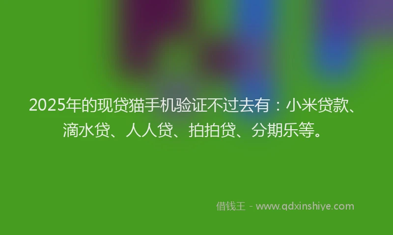 2025年的现贷猫手机验证不过去有：小米贷款、滴水贷、人人贷、拍拍贷、分期乐等。