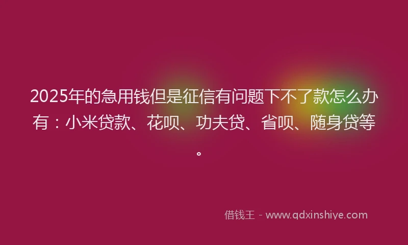 2025年的急用钱但是征信有问题下不了款怎么办有：小米贷款、花呗、功夫贷、省呗、随身贷等。