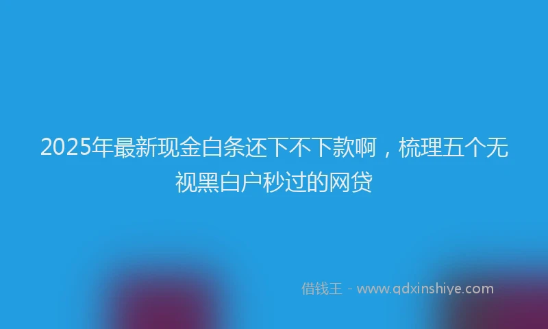 2025年最新现金白条还下不下款啊，梳理五个无视黑白户秒过的网贷