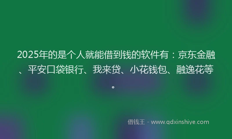 2025年的是个人就能借到钱的软件有：京东金融、平安口袋银行、我来贷、小花钱包、融逸花等。