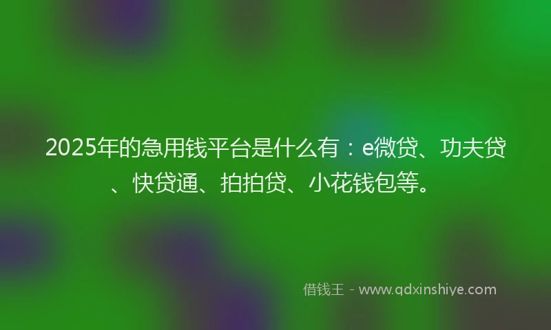 2025年的急用钱平台是什么有：e微贷、功夫贷、快贷通、拍拍贷、小花钱包等。