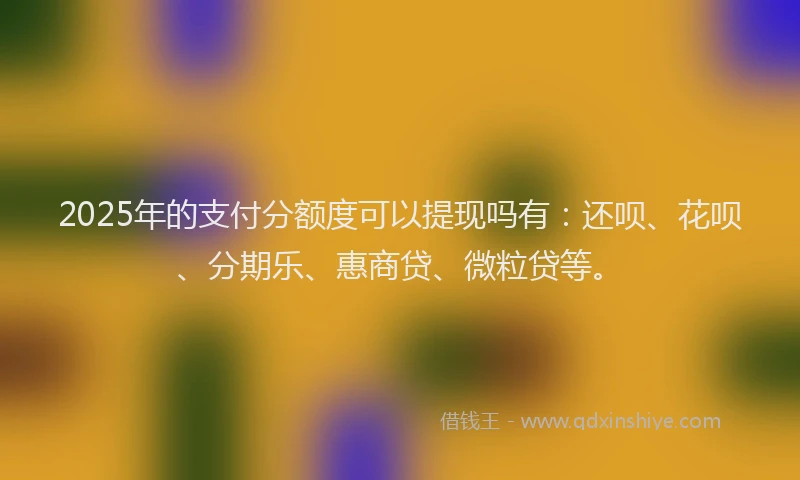 2025年的支付分额度可以提现吗有：还呗、花呗、分期乐、惠商贷、微粒贷等。