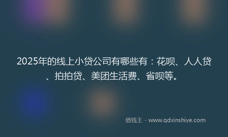2025年的线上小贷公司有哪些有：花呗、人人贷、拍拍贷、美团生活费、省呗等。