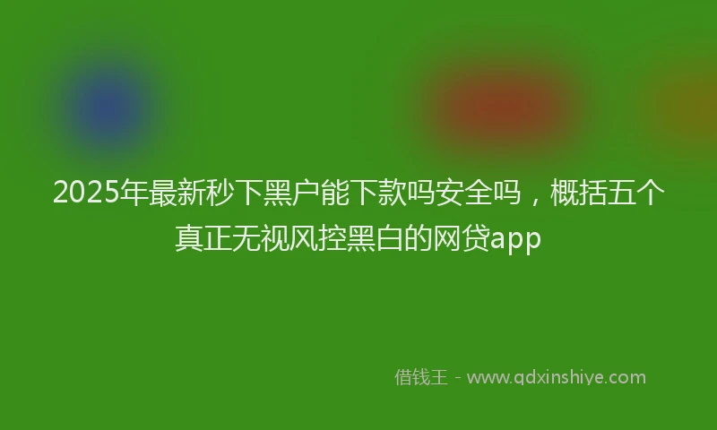 2025年最新秒下黑户能下款吗安全吗，概括五个真正无视风控黑白的网贷app