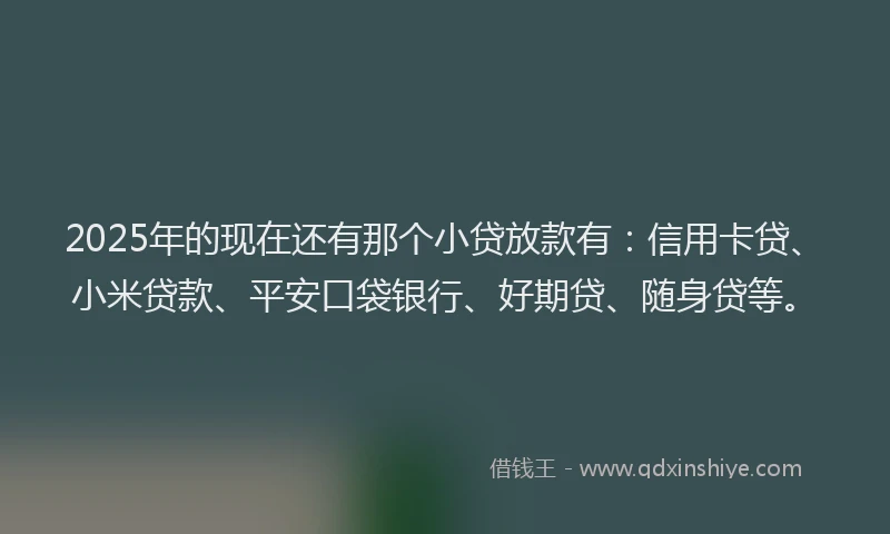 2025年的现在还有那个小贷放款有：信用卡贷、小米贷款、平安口袋银行、好期贷、随身贷等。