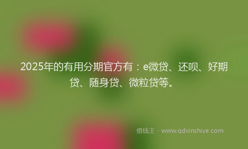 2025年的有用分期官方有：e微贷、还呗、好期贷、随身贷、微粒贷等。
