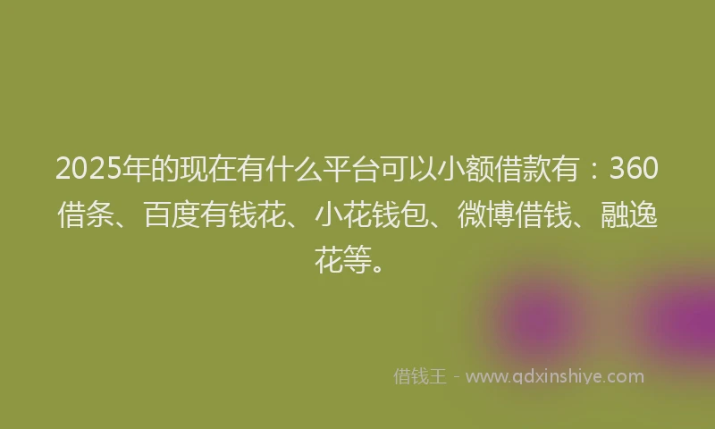 2025年的现在有什么平台可以小额借款有：360借条、百度有钱花、小花钱包、微博借钱、融逸花等。