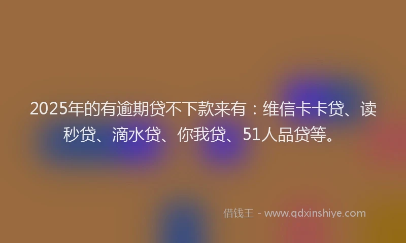 2025年的有逾期贷不下款来有：维信卡卡贷、读秒贷、滴水贷、你我贷、51人品贷等。