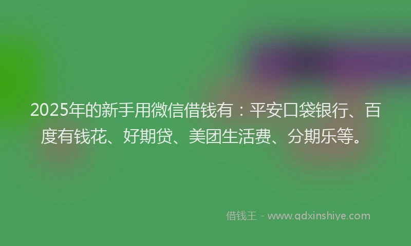 2025年的新手用微信借钱有：平安口袋银行、百度有钱花、好期贷、美团生活费、分期乐等。