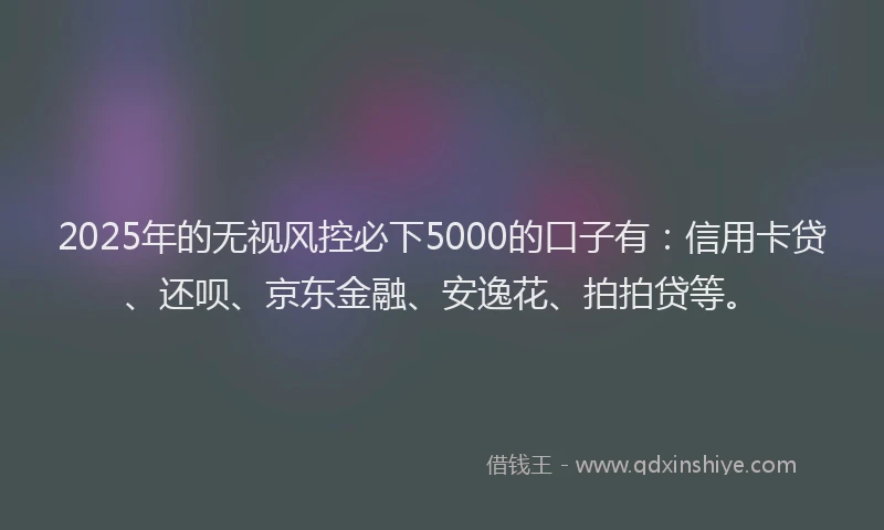 2025年的无视风控必下5000的口子有：信用卡贷、还呗、京东金融、安逸花、拍拍贷等。