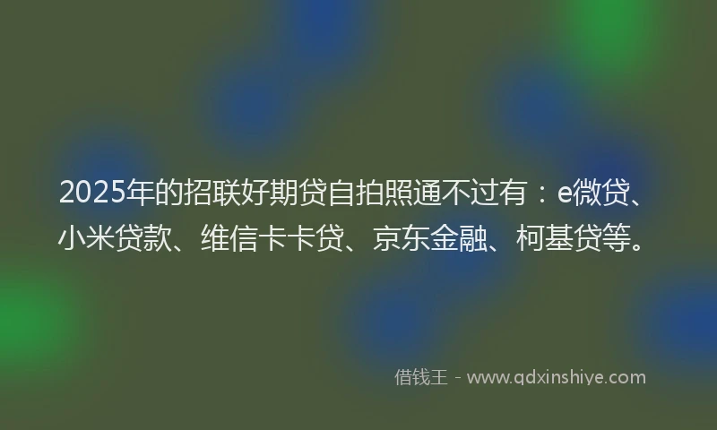 2025年的招联好期贷自拍照通不过有：e微贷、小米贷款、维信卡卡贷、京东金融、柯基贷等。