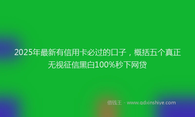 2025年最新有信用卡必过的口子,概括五个真正无视征信黑白100%秒下网贷