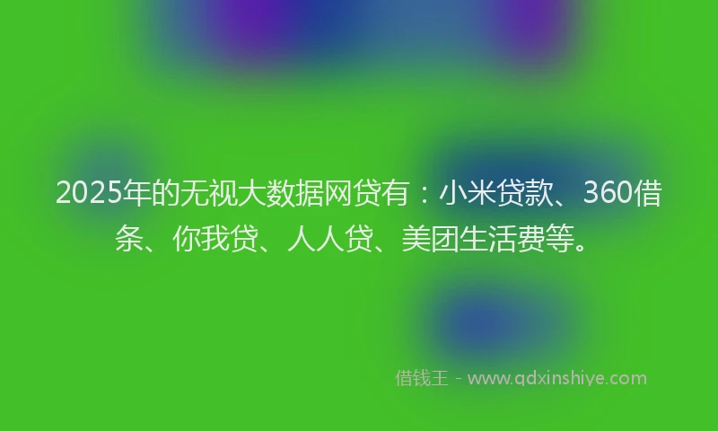 2025年的无视大数据网贷有：小米贷款、360借条、你我贷、人人贷、美团生活费等。