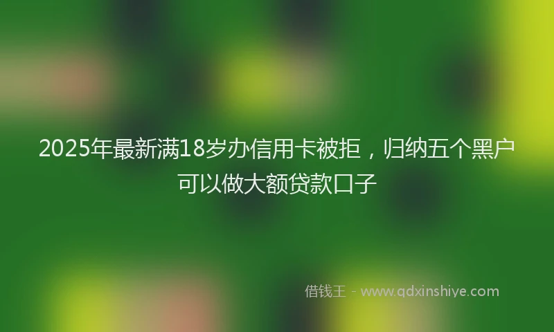 2025年最新满18岁办信用卡被拒，归纳五个黑户可以做大额贷款口子