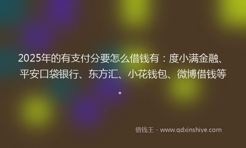 2025年的有支付分要怎么借钱有：度小满金融、平安口袋银行、东方汇、小花钱包、微博借钱等。