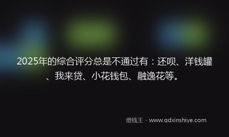2025年的综合评分总是不通过有：还呗、洋钱罐、我来贷、小花钱包、融逸花等。