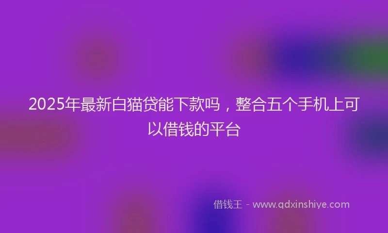 2025年最新白猫贷能下款吗，整合五个手机上可以借钱的平台
