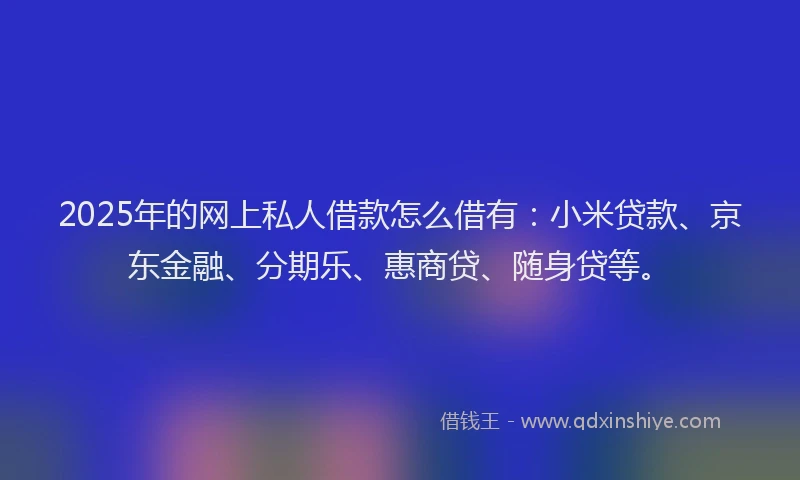 2025年的网上私人借款怎么借有:小米贷款、京东金融、分期乐、惠商贷、随身贷等。