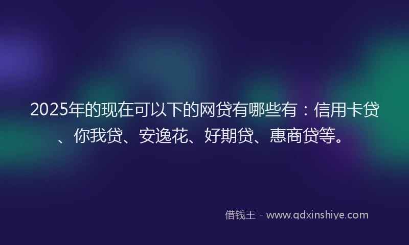 2025年的现在可以下的网贷有哪些有：信用卡贷、你我贷、安逸花、好期贷、惠商贷等。