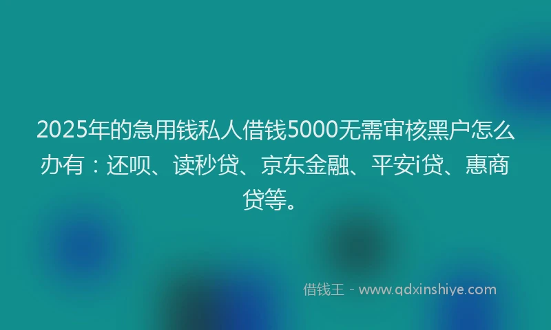 2025年的急用钱私人借钱5000无需审核黑户怎么办有：还呗、读秒贷、京东金融、平安i贷、惠商贷等。