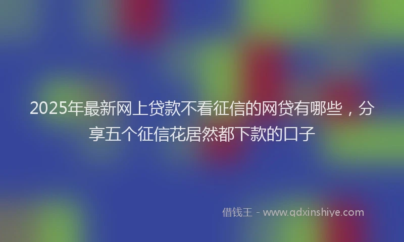 2025年最新网上贷款不看征信的网贷有哪些，分享五个征信花居然都下款的口子