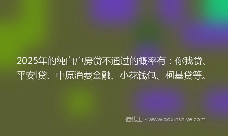 2025年的纯白户房贷不通过的概率有：你我贷、平安i贷、中原消费金融、小花钱包、柯基贷等。