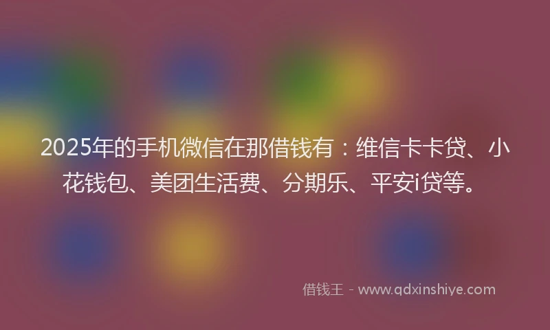 2025年的手机微信在那借钱有：维信卡卡贷、小花钱包、美团生活费、分期乐、平安i贷等。