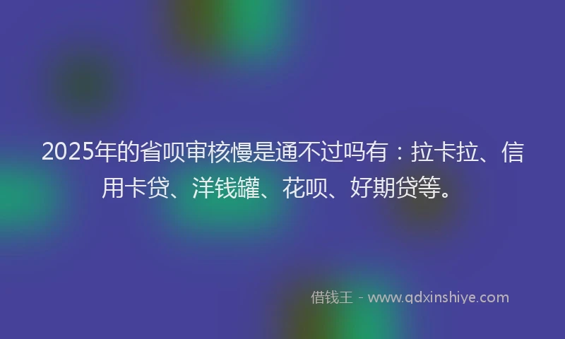 2025年的省呗审核慢是通不过吗有：拉卡拉、信用卡贷、洋钱罐、花呗、好期贷等。