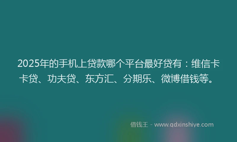 2025年的手机上贷款哪个平台最好贷有：维信卡卡贷、功夫贷、东方汇、分期乐、微博借钱等。