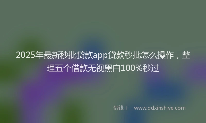 2025年最新秒批贷款app贷款秒批怎么操作，整理五个借款无视黑白100%秒过