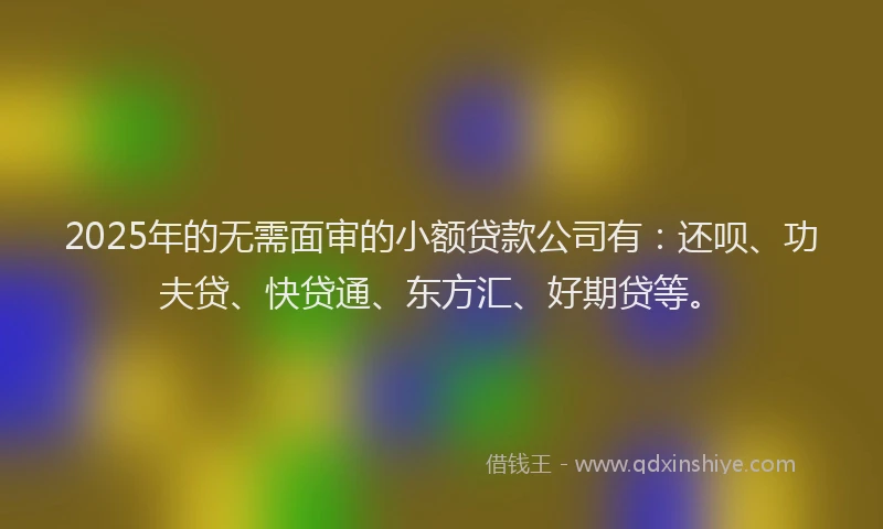 2025年的无需面审的小额贷款公司有：还呗、功夫贷、快贷通、东方汇、好期贷等。